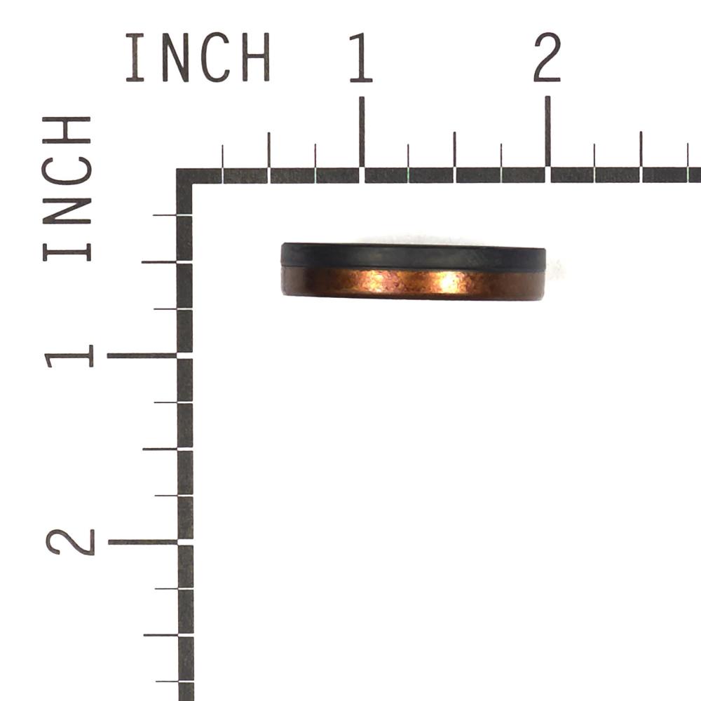 Briggs & Stratton Seal-Oil 391483S