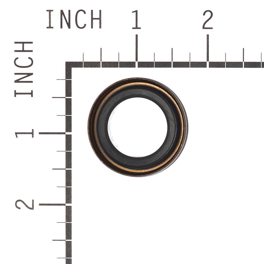 Briggs & Stratton Seal-Oil 391483S