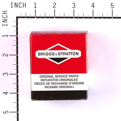 Briggs & Stratton Kit-Pump/Choke Dia 391681