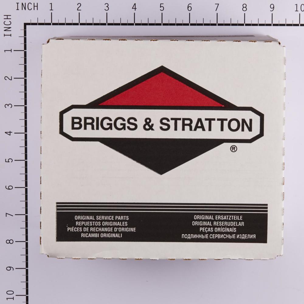 Briggs & Stratton Carburetor 392587