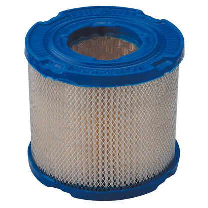 Briggs & Stratton Filter-A/C Cartridge 393957S