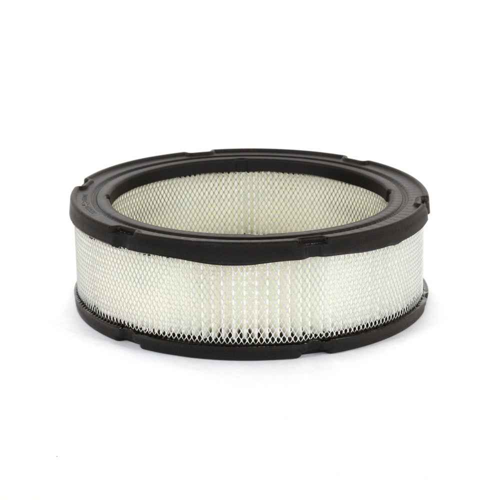 Briggs & Stratton Filter-A/C Cartridge 394018S