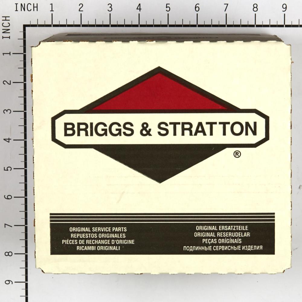 Briggs & Stratton Air-Filter (5 X 691643) 4195