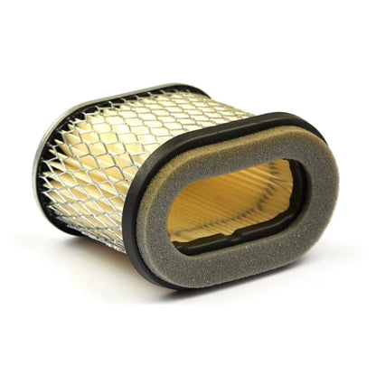 Briggs & Stratton Air-Filter (4 X 692446) 4224