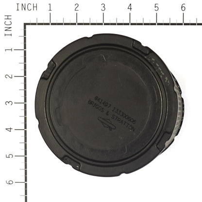 Briggs & Stratton Filter (4 X 841497) 4235