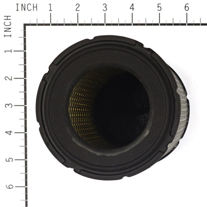 Briggs & Stratton Filter (4 X 841497) 4235