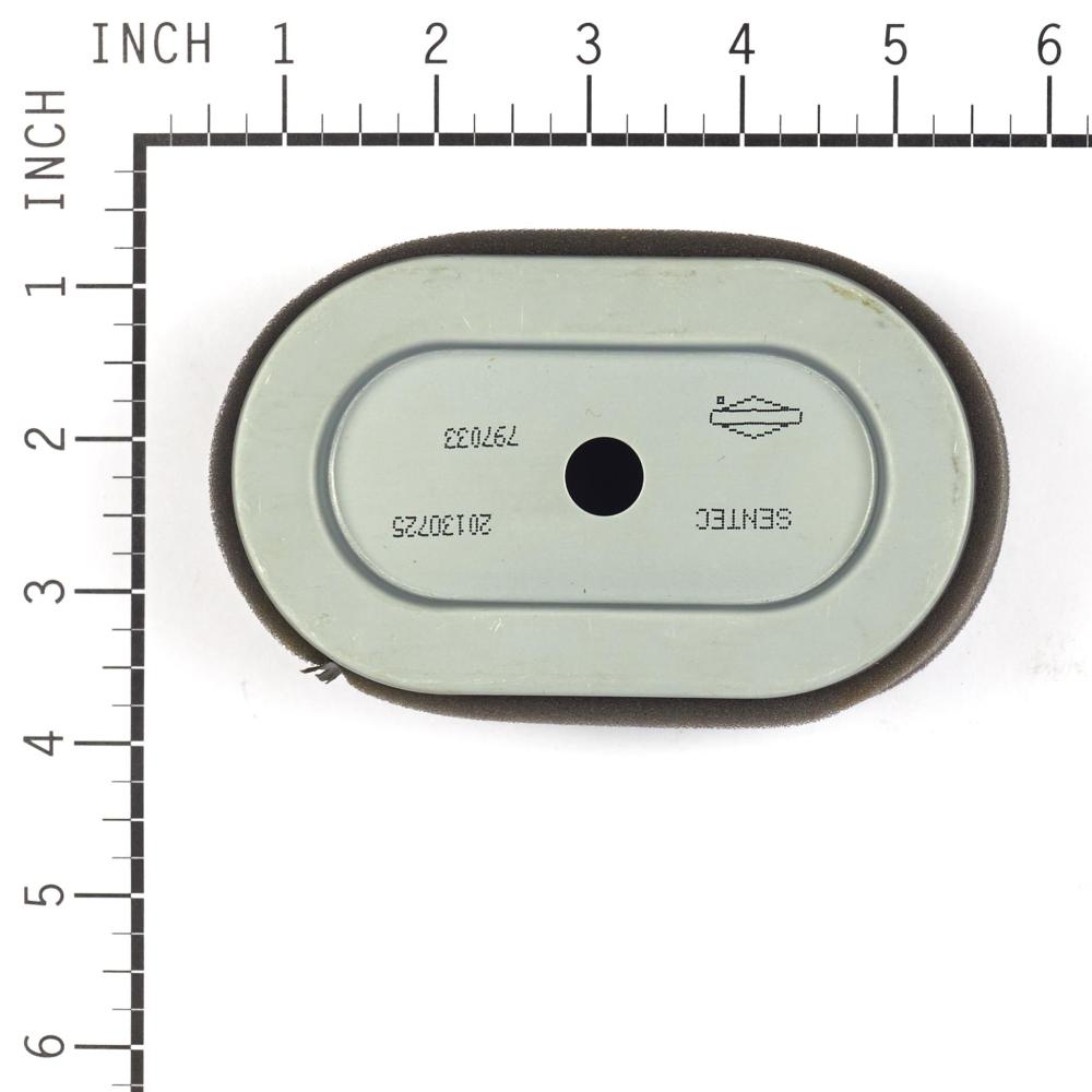 Briggs & Stratton P/C-Filter (5 X 797033) 4239