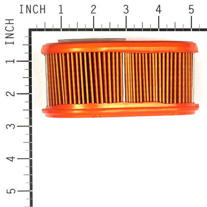 Briggs & Stratton A/C-Filter (5 X 792038) 4245