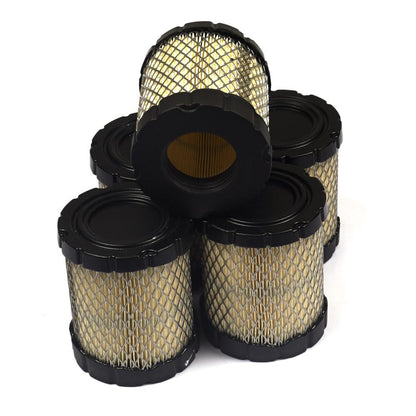 Briggs & Stratton A/C-Filter (5 X 798897) 4250