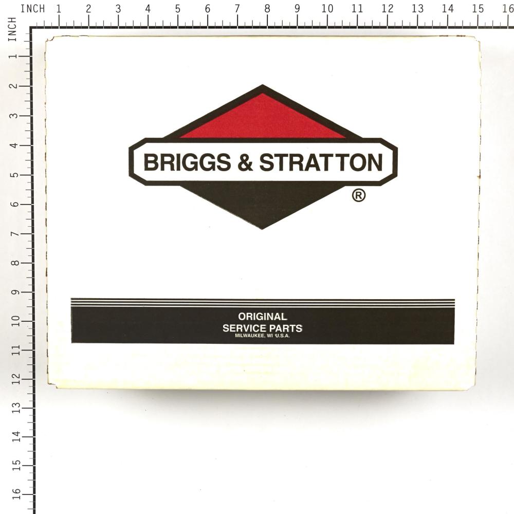 Briggs & Stratton A/C-Filter (5 X 798897) 4250