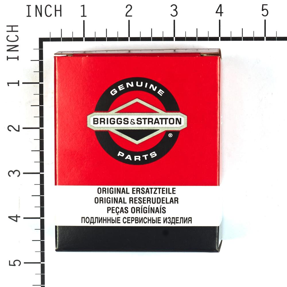 Briggs & Stratton Foam-Filter (5 X 796254) 4261