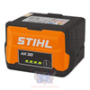 AK 30 Lithium-Ion Battery