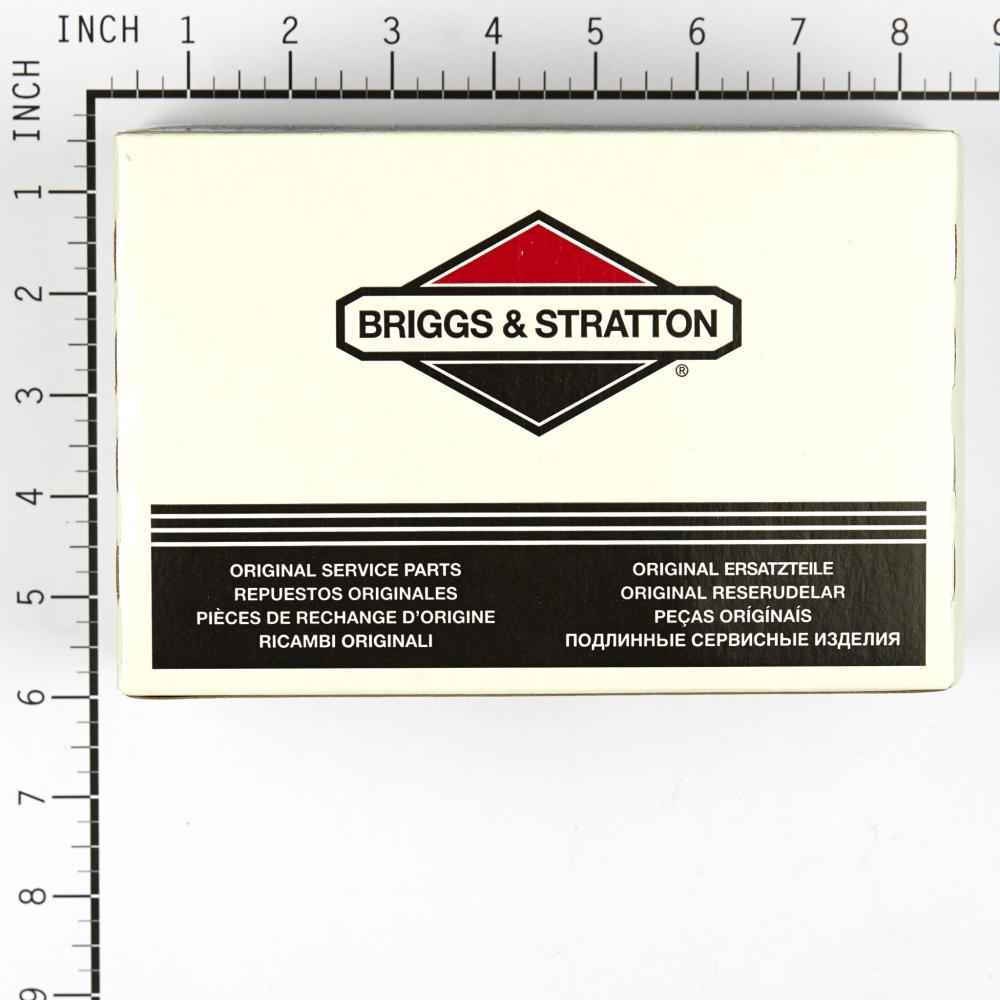 Briggs & Stratton Filter-A/C Cartridge 491021