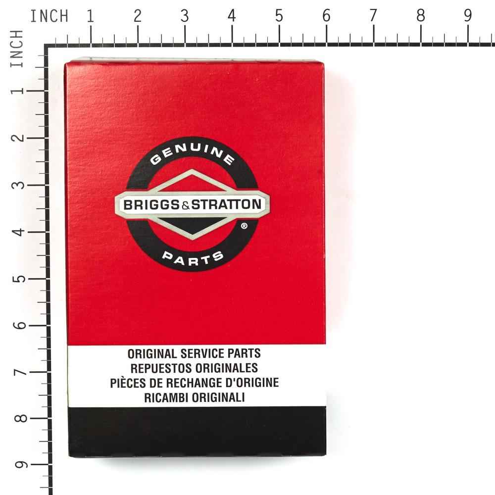 Briggs & Stratton Filter-A/C Cartridge 491384