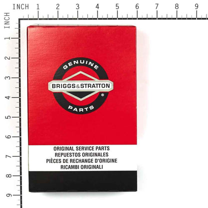 Briggs & Stratton Filter-A/C Cartridge 491384