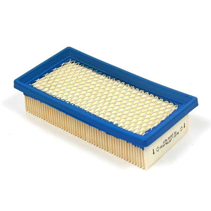 Briggs & Stratton Filter-A/C Cartridge 491384
