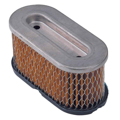 Briggs & Stratton Filter-A/C Cartridge 491950