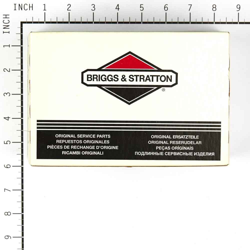 Briggs & Stratton Filter-A/C Cartridge 491950