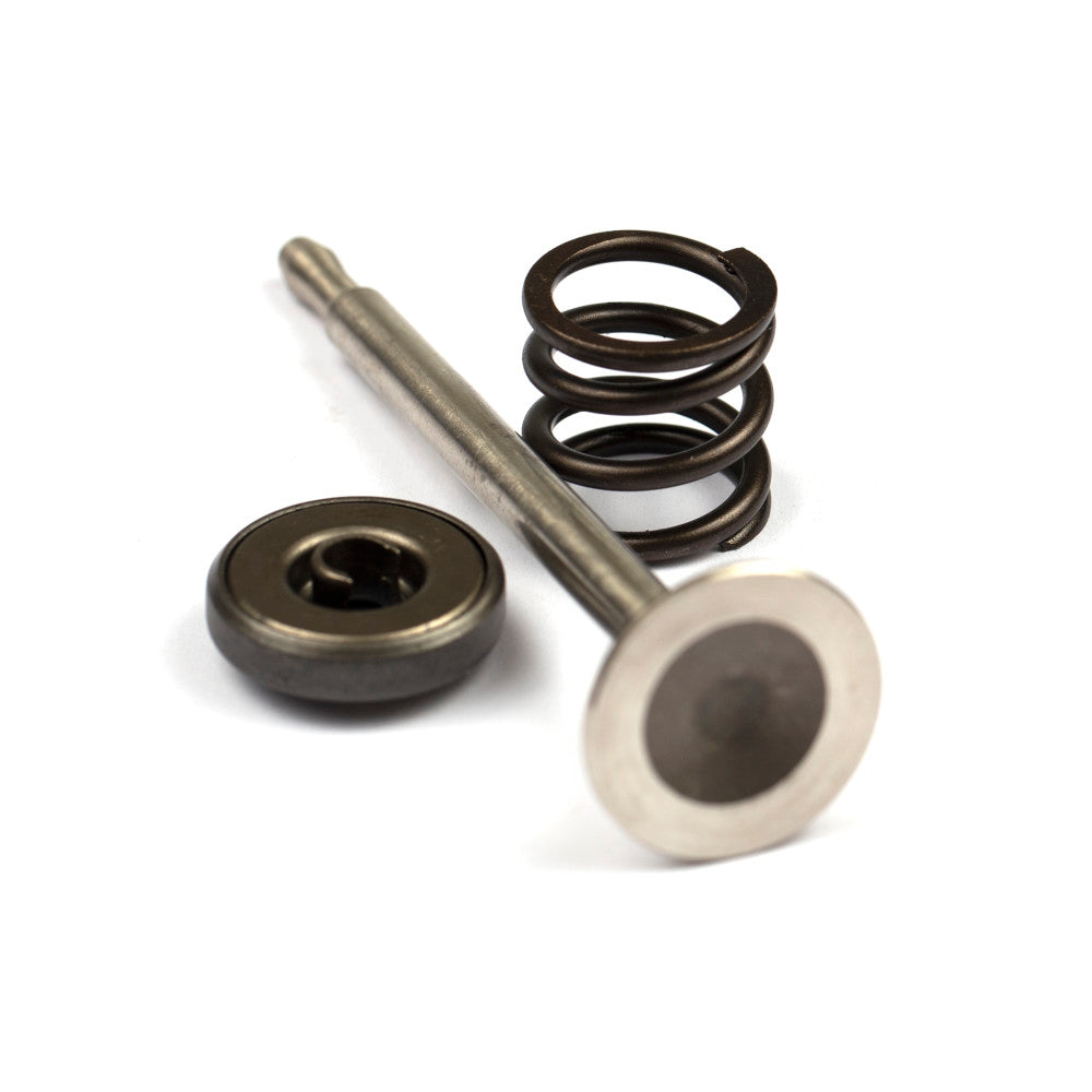 Briggs & Stratton Valve-Exhaust 494191