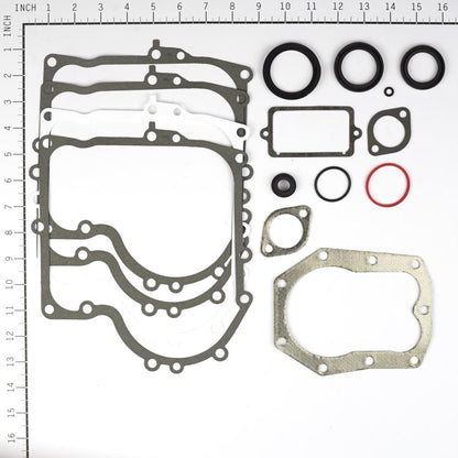 Briggs & Stratton Gasket Set-Engine 494241