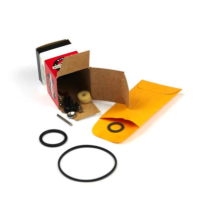 Briggs & Stratton Kit-Carb Overhaul 494349