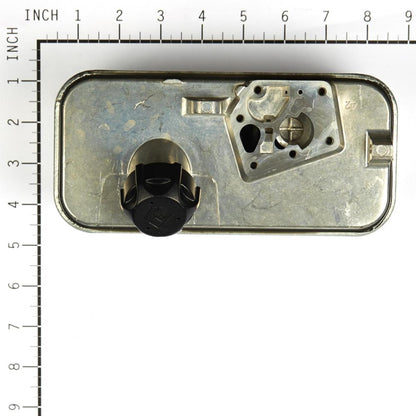 Briggs & Stratton Tank-Fuel 494406