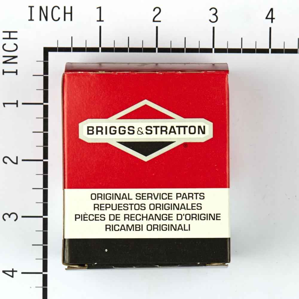 Briggs & Stratton Kit-Carb Overhaul 494622