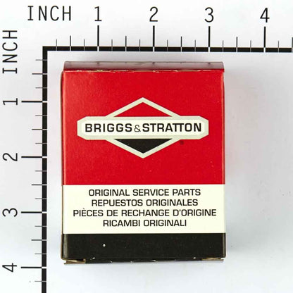 Briggs & Stratton Kit-Carb Overhaul 494622