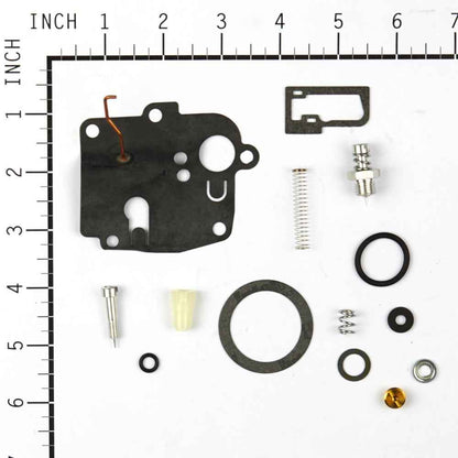 Briggs & Stratton Kit-Carb Overhaul 494623