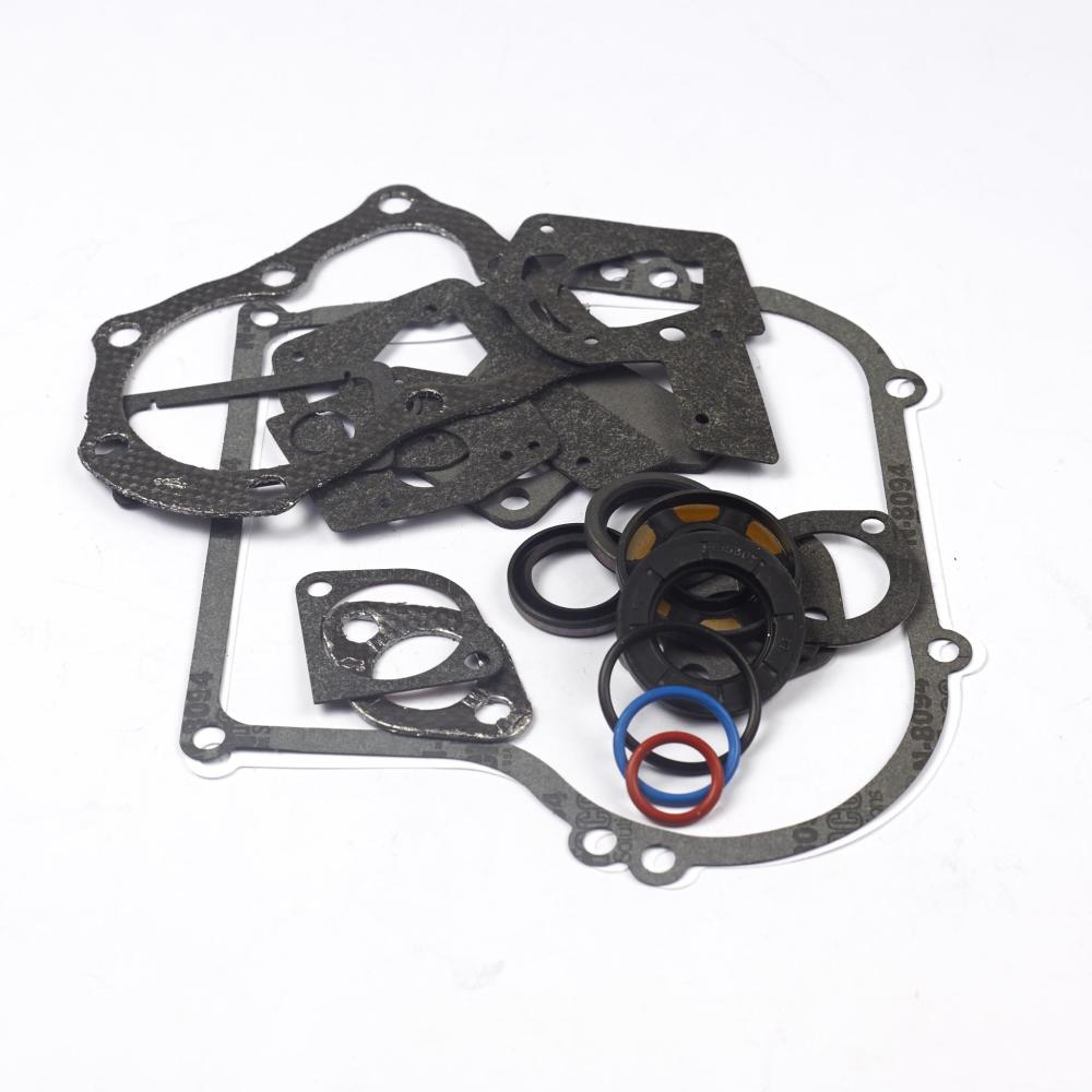 Briggs & Stratton Gasket Set-Engine 495603