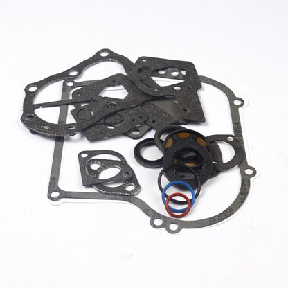 Briggs & Stratton Gasket Set-Engine 495603