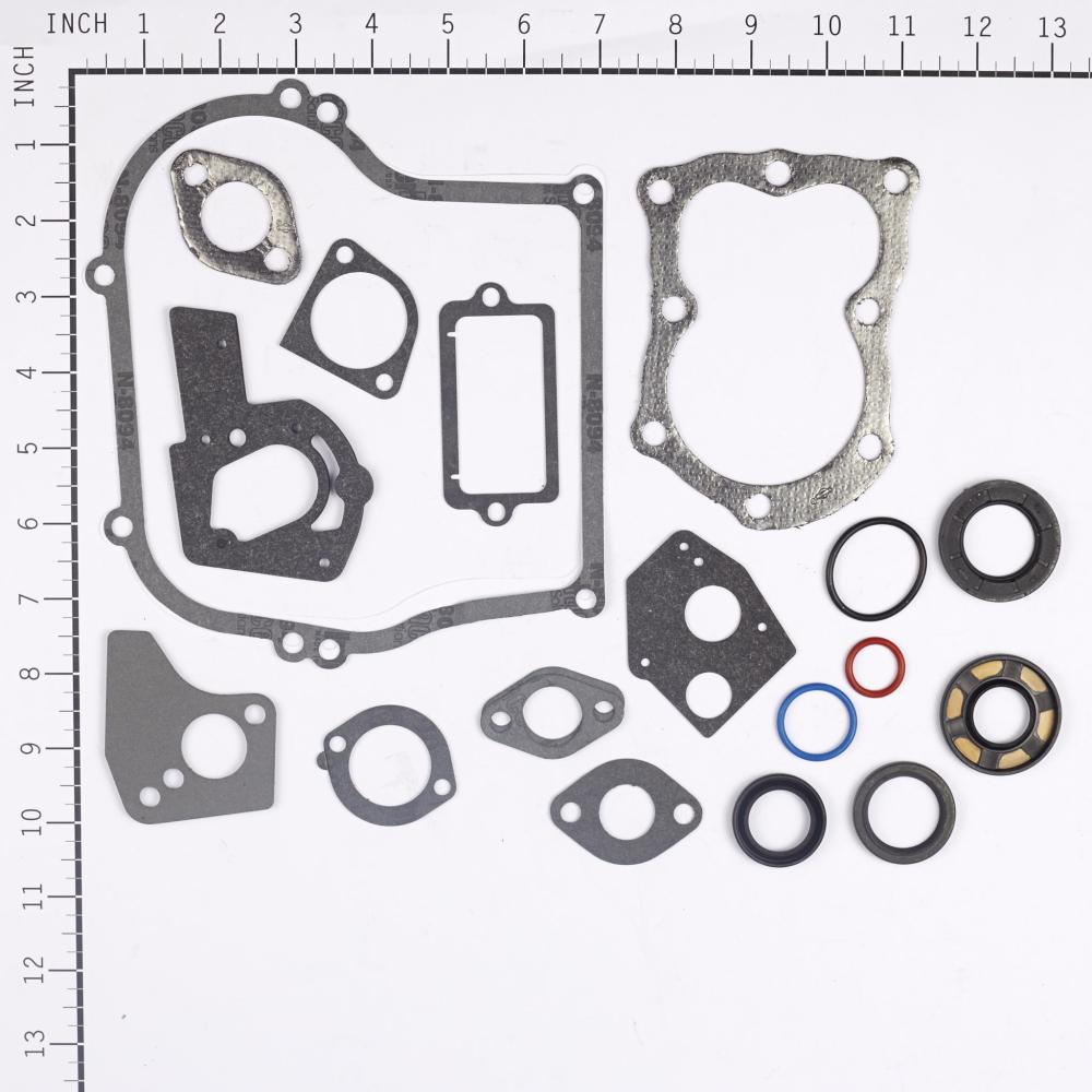 Briggs & Stratton Gasket Set-Engine 495603