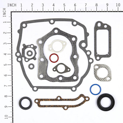 Briggs & Stratton Gasket Set-Engine 496117