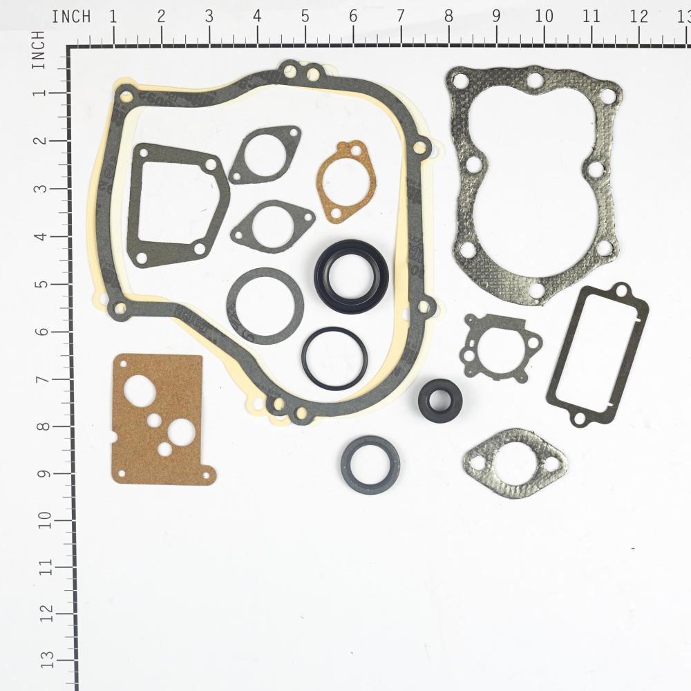 Briggs & Stratton Gasket Set-Engine 496659