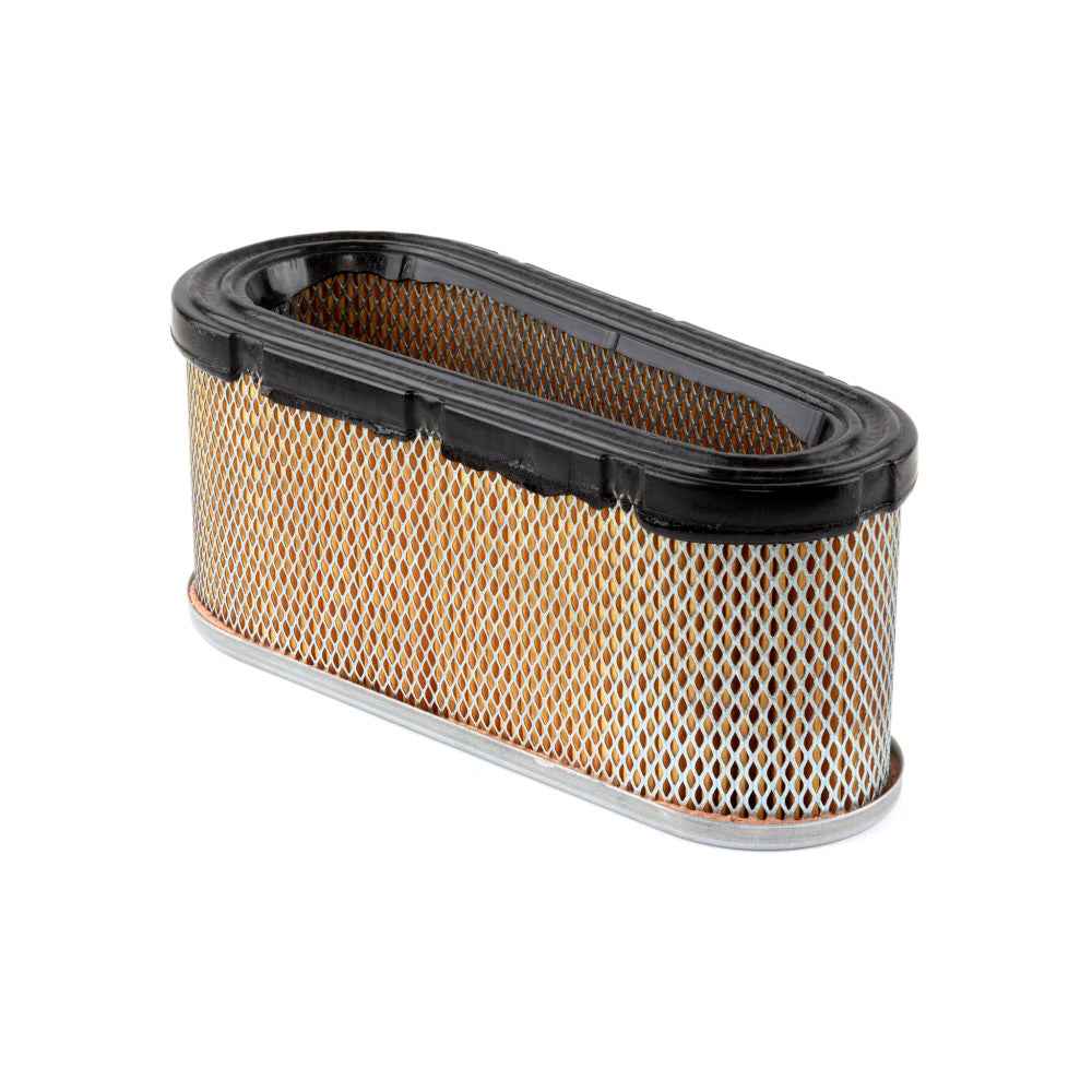 Briggs & Stratton Filter-A/C Cartridge 496894S