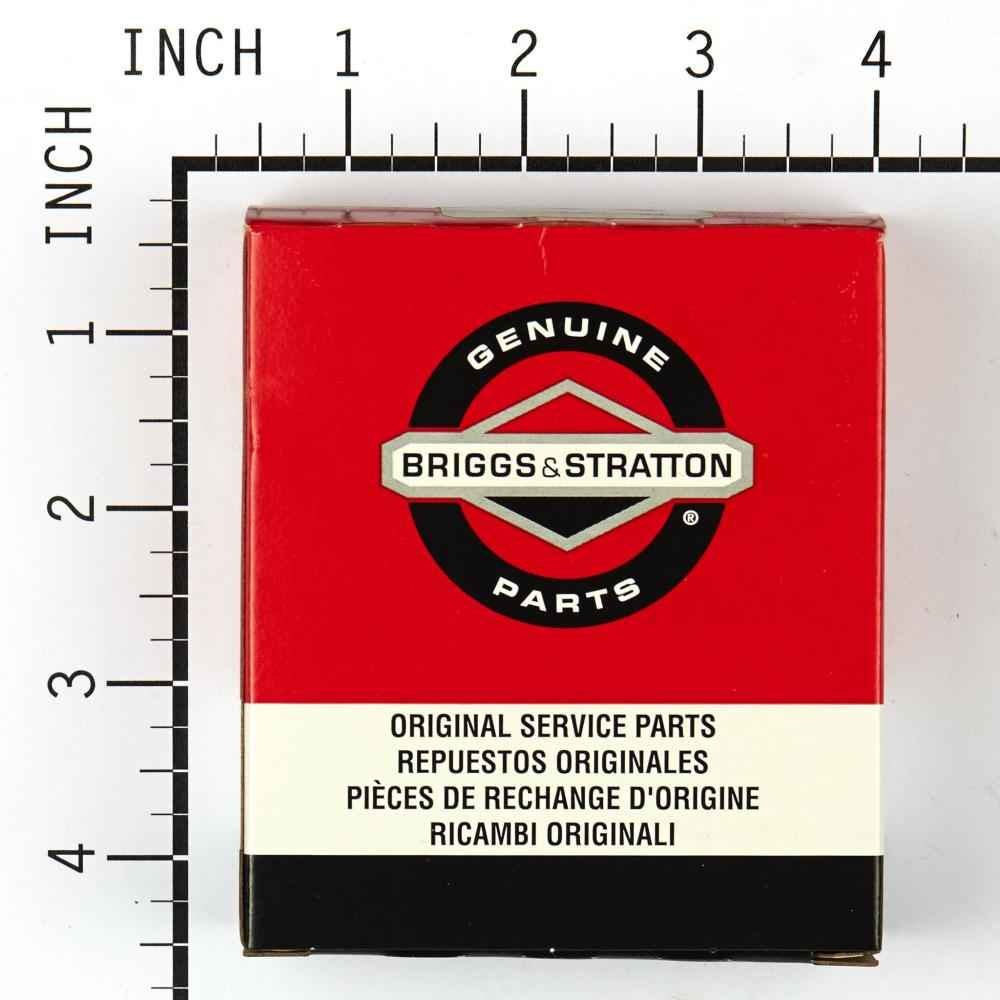 Briggs & Stratton Kit-Carb Overhaul 497535