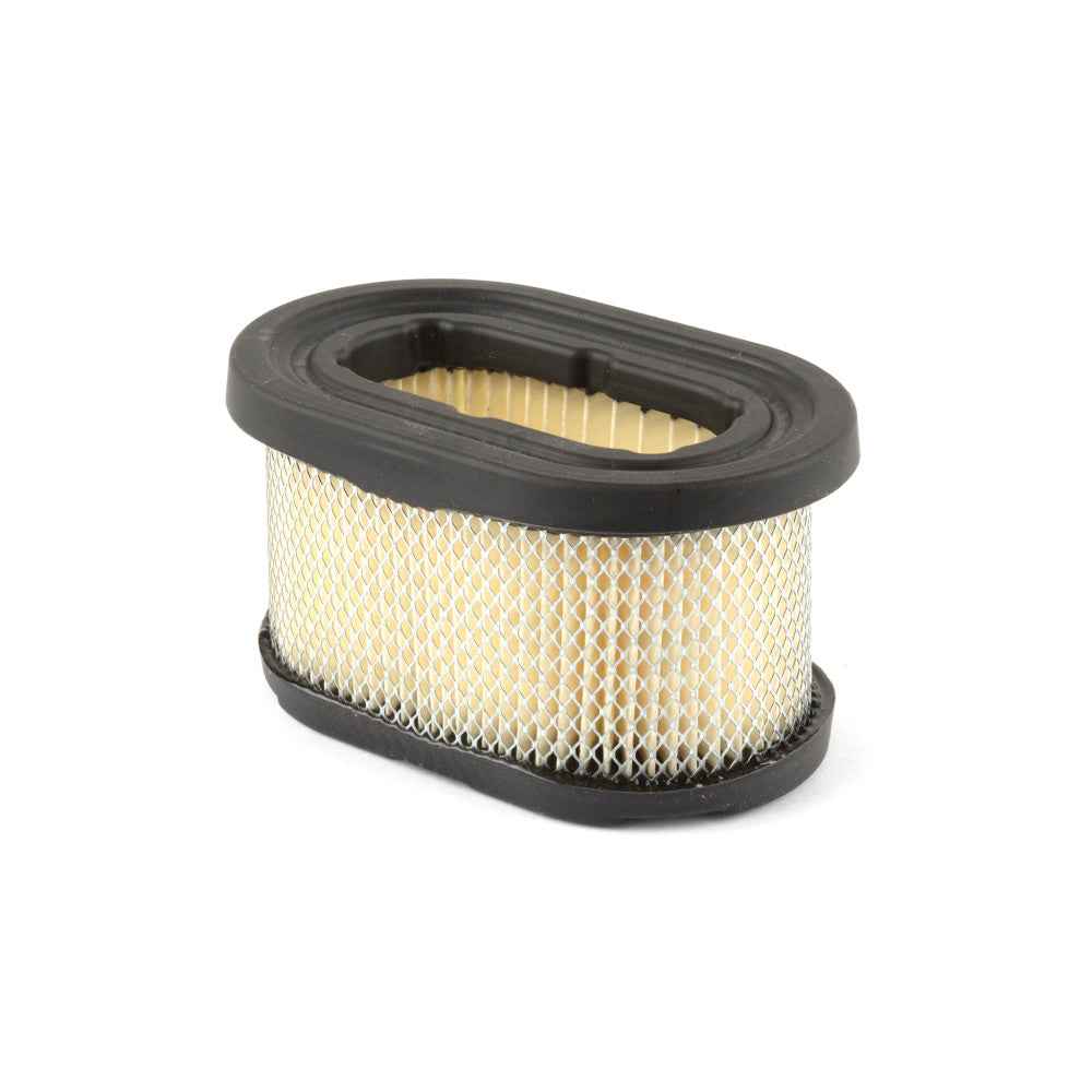 Briggs & Stratton Filter-A/C Cartridge 497725S