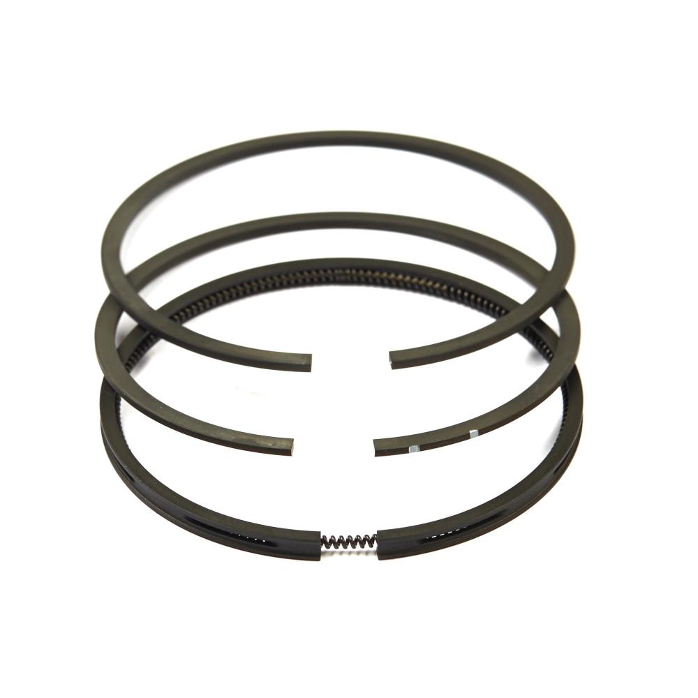 Briggs & Stratton Ring Set-Std 499996