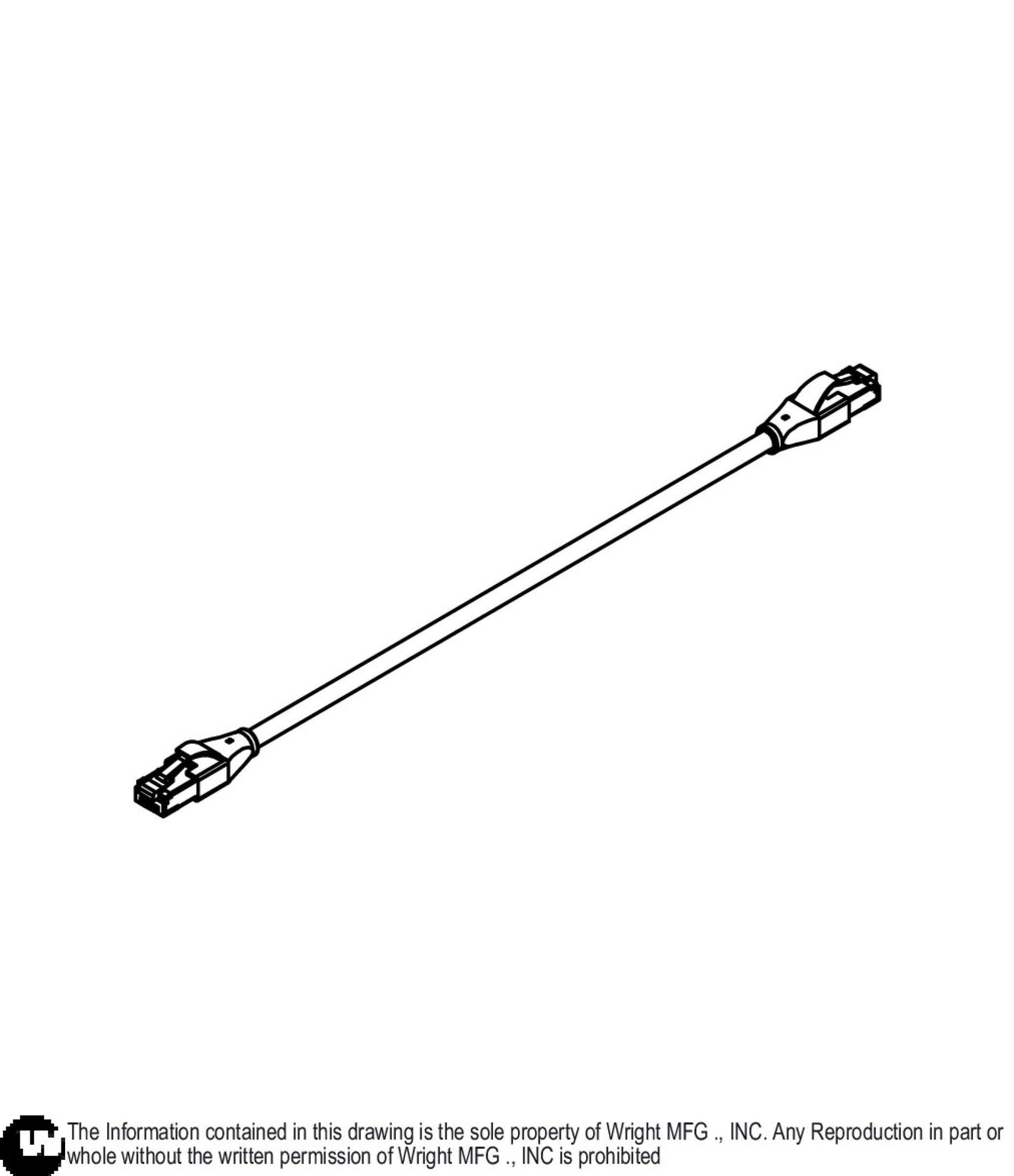 CAT 5E 1FT Ethernet Cable 57420066.