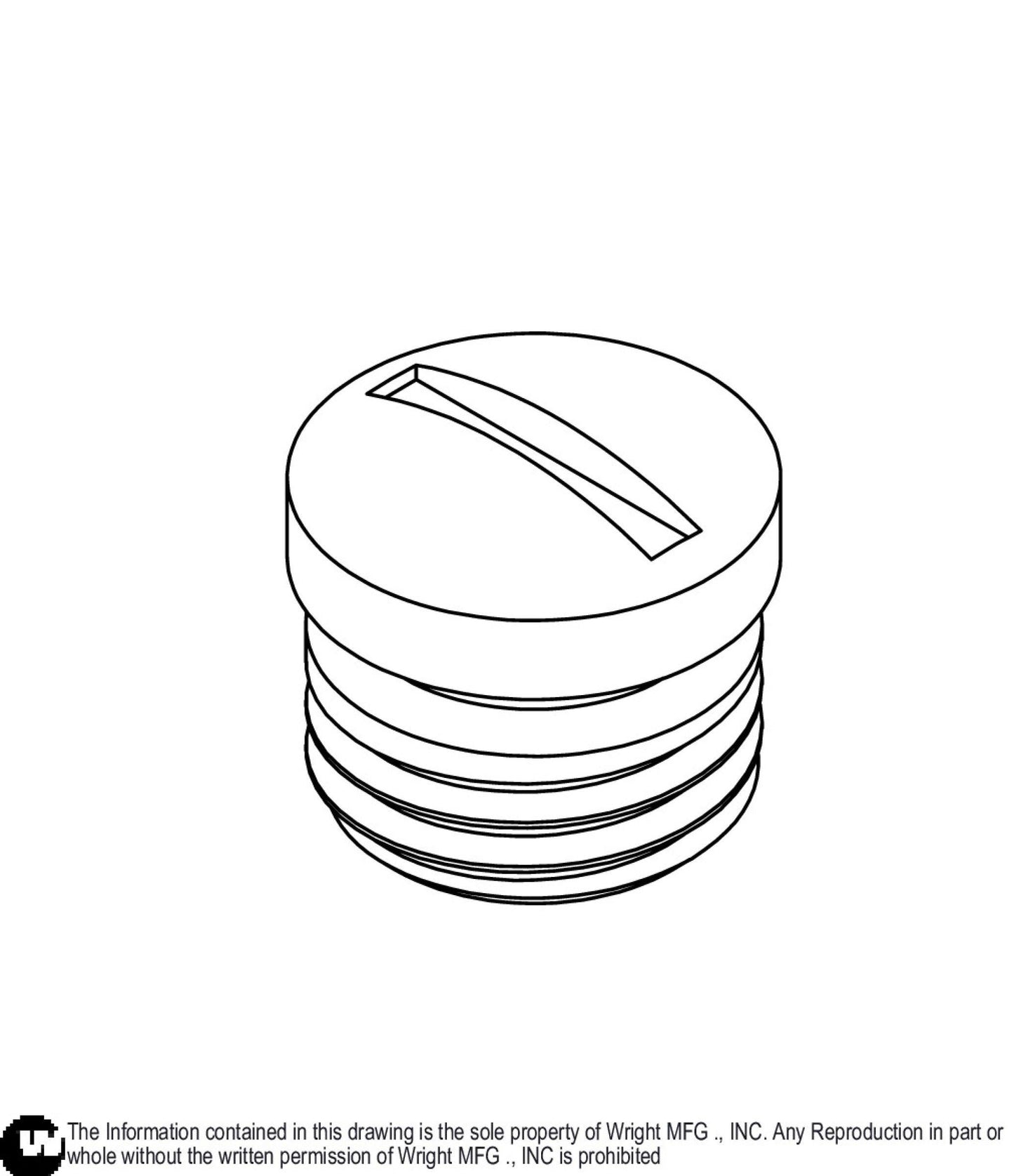 M8 Plug Cap 57420071.