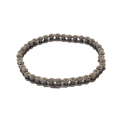 Briggs & Stratton Chain, Roller #42 X 4 579867MA