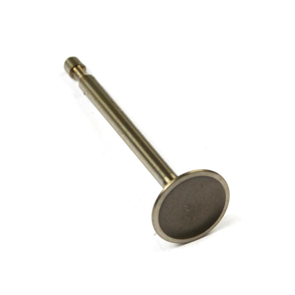 Briggs & Stratton Valve-Intake 590393