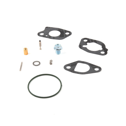 Briggs & Stratton Kit-Carb Overhaul 591770