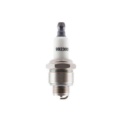 Briggs & Stratton Plug-Spark 591868