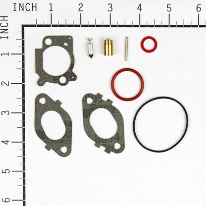 Briggs & Stratton Kit-Carb Overhaul 592172
