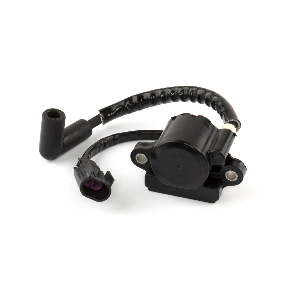 Briggs & Stratton Coil-Ignition 593856