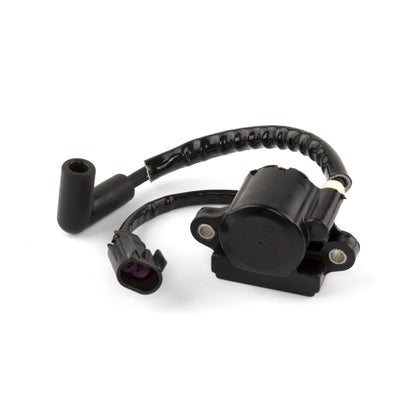 Briggs & Stratton Coil-Ignition 593856