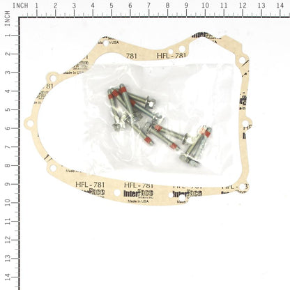 Briggs & Stratton Gasket-Crankcase Kit 594195