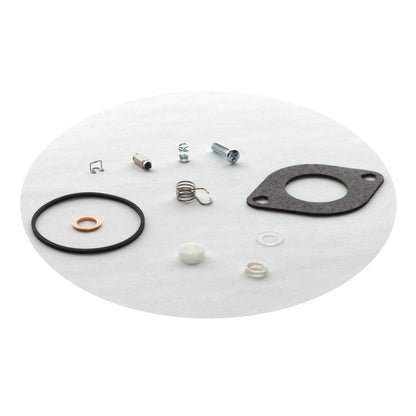 Briggs & Stratton Kit-Carburetor Overha 594886