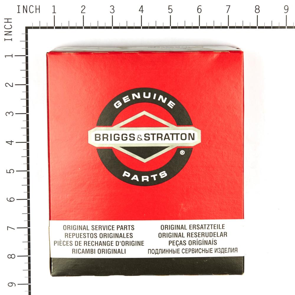 Briggs & Stratton Starter-Rewind 690101